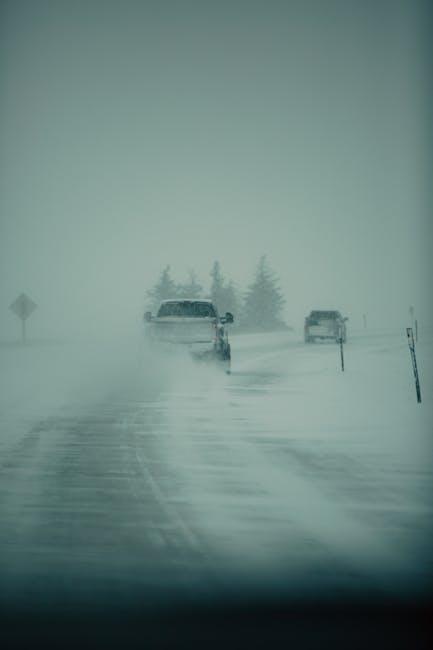 Choosing the Right Tires for Your Driving Conditions