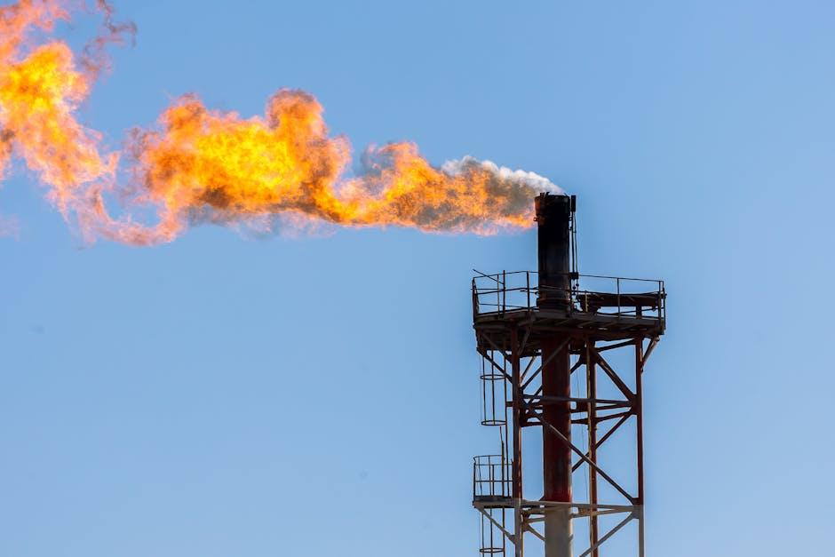 Optimizing Fuel Quality and Combustion Efficiency