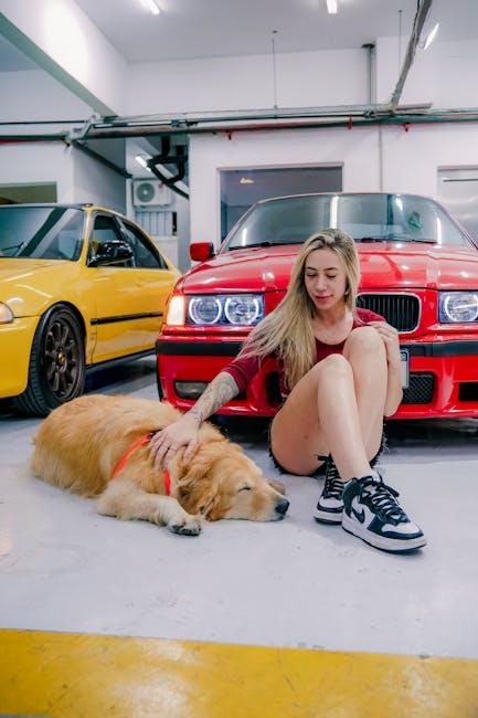 Understanding the Challenges of Pet Hair in Your Vehicle