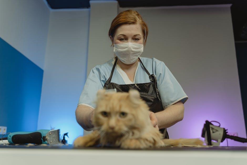 Essential Tools for Efficient Pet Hair Removal