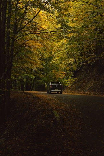 Expert Recommendations for Seasonal Oil Changes