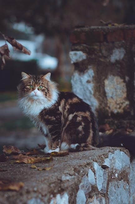 Maintaining a Clean Car Environment After Pet Rides