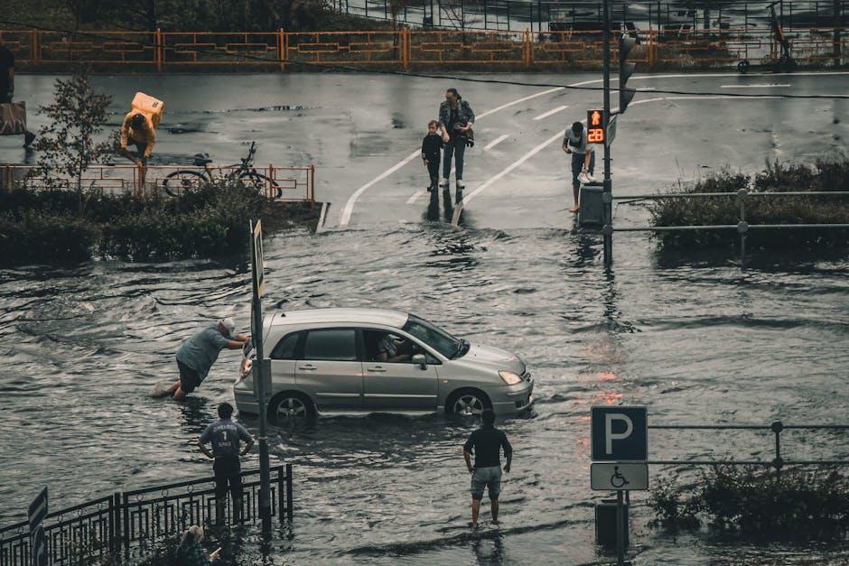 Signs Your Car Battery Needs Attention Before Winter