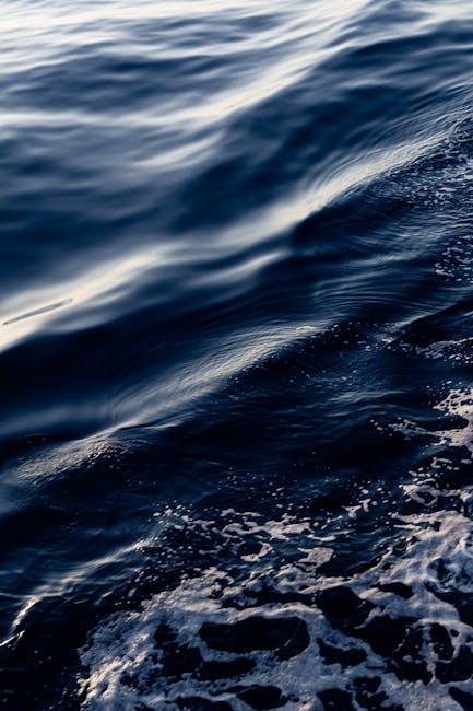 Choosing the Right Transmission Fluid for Longevity